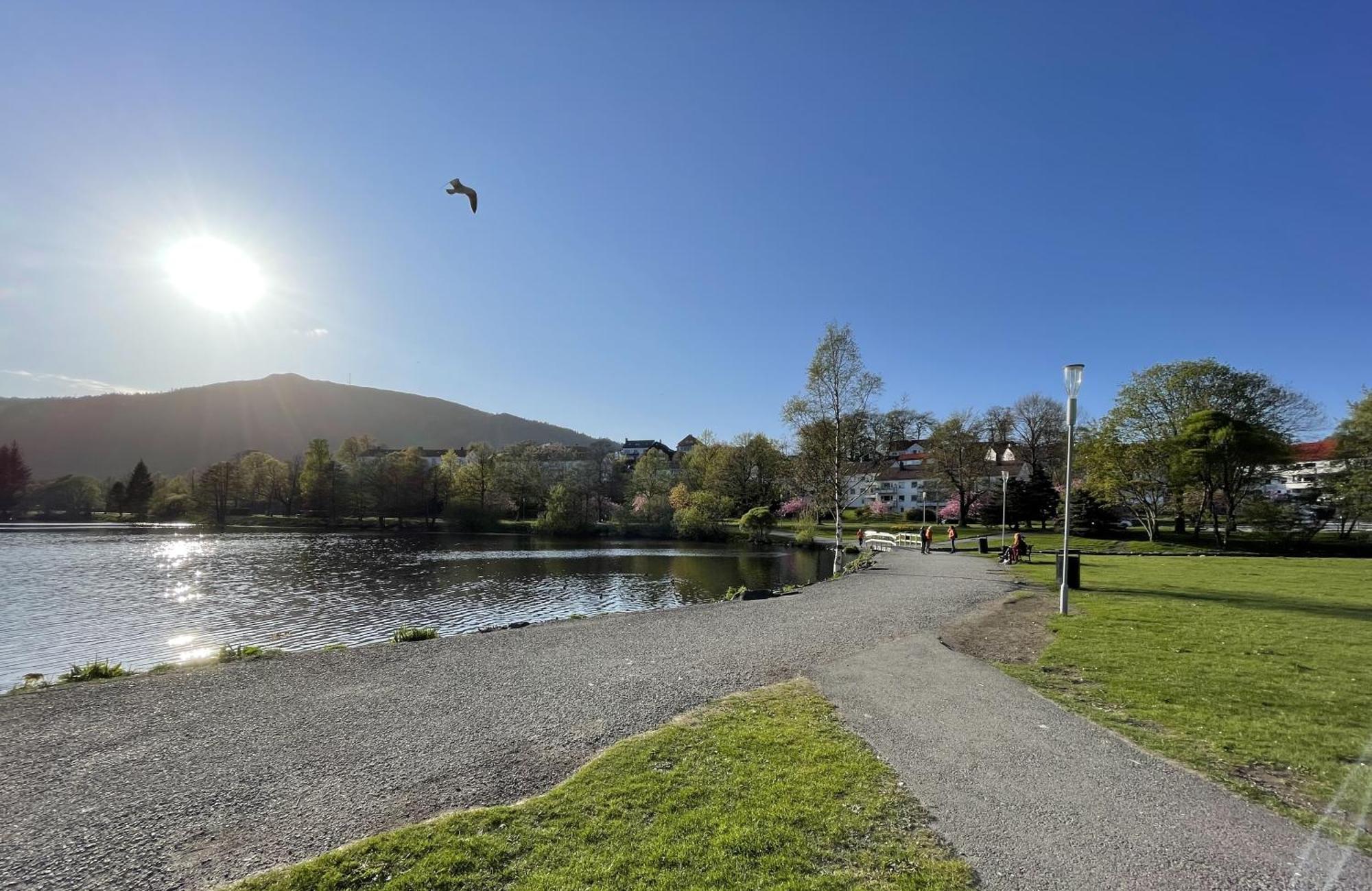 3 Sleeping Rooms For 82M2 Which Direct Traffic To Airport And City Center Bergen Exterior foto